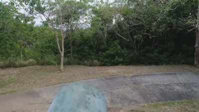 The US submarine Trout
was dispatched - Mysteries of the Abandoned