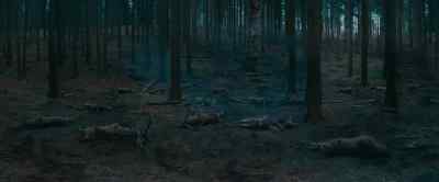 The used them for target practice. - Kill Command