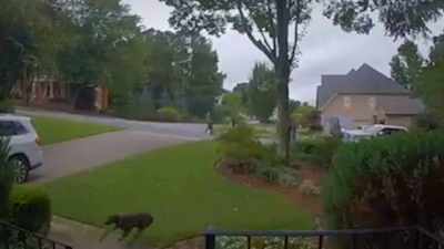 The van careens off the road, - Neighborhood Wars