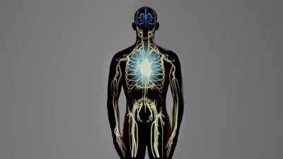 The vast majority
come not from the brain - Human: The World Within