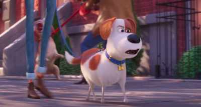 The vet? No!
No, no, no, no, no! - The Secret Life of Pets 2