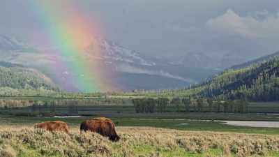 The vibrance is exactly
what Ferdinand Hayden - Yellowstone: One-Fifty