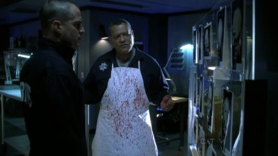 The victim was struck
from all sides. - CSI: Crime Scene Investigation