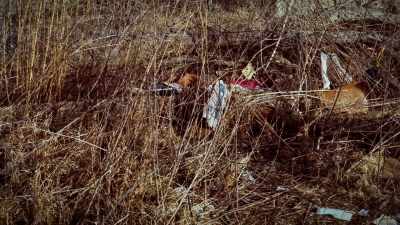 THE VICTIMS --
THEIR VOICE WAS STOLEN, - The 93 Victims of Samuel Little