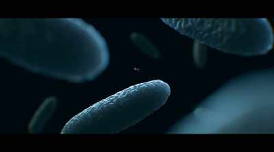 -The virus will
attach to the surface, - Human Nature