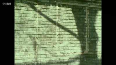 The wall was closed down,
all the posters hosed off, - Can't Get You Out of My Head