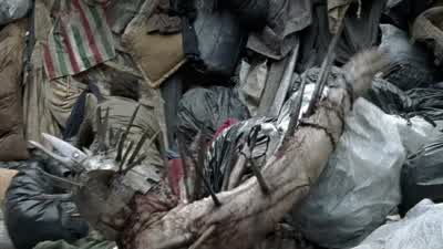 Aah! ♪♪ Michonne: The walls! - The Walking Dead
