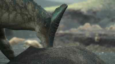 The warm volcanic sand
serves as an incubator for their eggs. - Prehistoric Planet