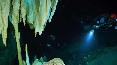 The water is completely
clear and so still, - Lost Treasures of the Maya