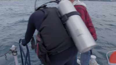 The water out in Lake Michigan - The Curse of Civil War Gold