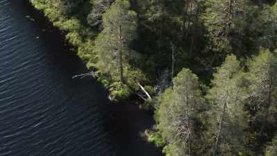 The water that spreads
because of this work - Wild Nordic