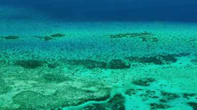 The waters offshore, - Blue Planet II