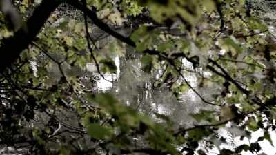 The way her body was found,
it was in a really, really horrible way. - When Missing Turns to Murder