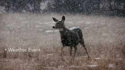 The weather issue could be
anywhere from a dust storm, - Missing 411: The Hunted
