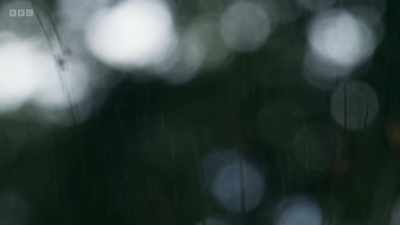 ..the weather makes things
a bit miserable at times. - Wild Isles