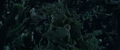 The White Wizard will know. - The Lord of the Rings: The Two Towers
