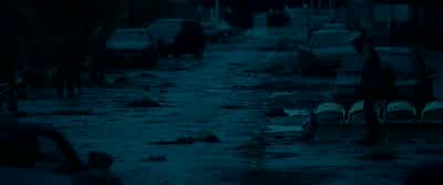 The white zone is for loading and unloading of passengers only. - Warm Bodies