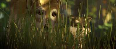 The whole experience
really traumatized Scooby. - White Fang