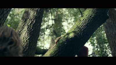 The whole forest is like a web - The Pod Generation