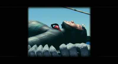 The whole freediving sport - Freediver
