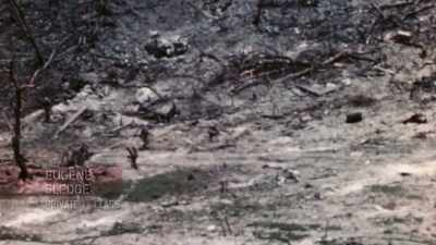 The whole island
was a front line. - The Pacific War in Color