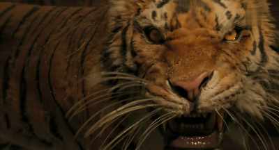 The whole jungle knows." - Dolittle