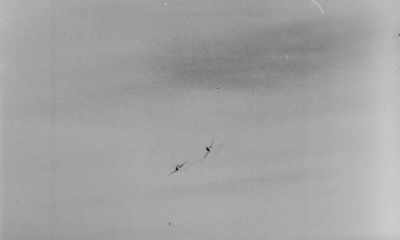 The whole Luftwaffe jumped on the
Schweinfurt group and just shattered them. - The Bloody Hundredth