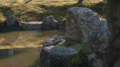 "The whole world mourned Genji. - The Art of Japanese Life