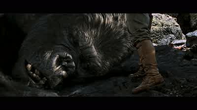The whole world will pay to see this. - King Kong