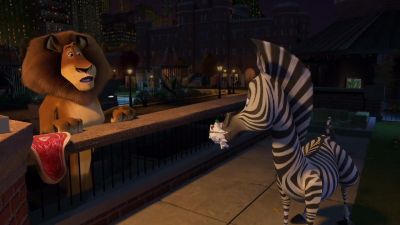 The wild Are you nuts - Madagascar