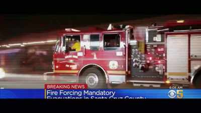 The wildfire
in Santa Cruz Mountains - Cat Daddies
