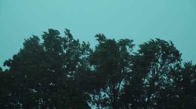 "The wind was so hard, - Finding Yingying