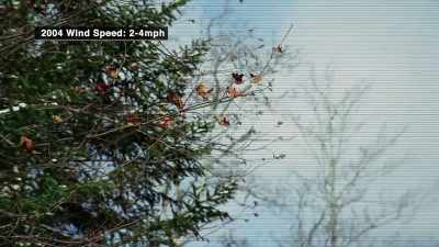 The wind speed today is 23 miles
per hour, making our testing - The Disappearance of Maura Murray