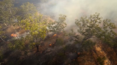 The winds carry something
equally deadly. - A Year on Planet Earth