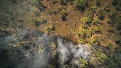 The winds
that fanned these flames... - A Year on Planet Earth
