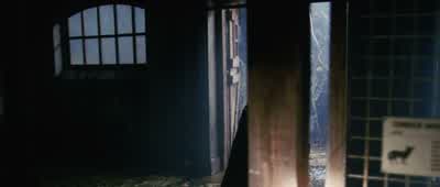 The wolves, they're gone. - The Day After Tomorrow