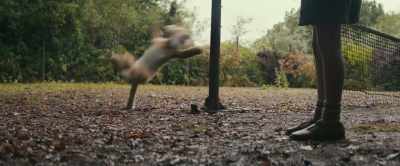 ♪ The wonderful thing
about Tiggers ♪ - Christopher Robin