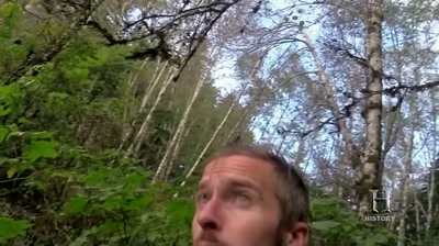 The woods are thick, - Alone
