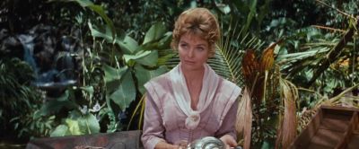 The world is full of nice - Swiss Family Robinson