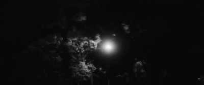The world is grey in its
entirety. - We Are Little Zombies