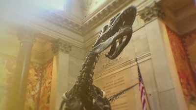 The world's
most famous museums, - The Crime of the Century