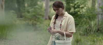 The writers are supposedly considering - The Greenhouse