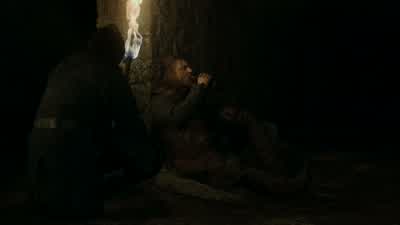The wrong brother, sadly.And lost to her. - Game of Thrones