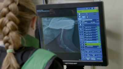 The x-ray show us that
the pin has moved, - Secrets of the Zoo