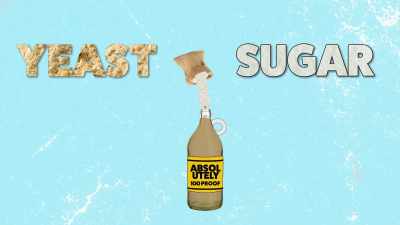 The yeast turns the sugar
into alcohol, - What Am I Eating? With Zooey Deschanel