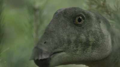 The youngsters' best hope
is to stay completely still... - Prehistoric Planet