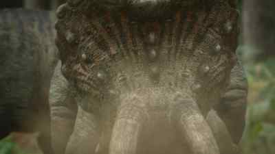 The youngster's horns
are no longer perfect. - Prehistoric Planet