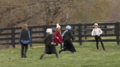 The Z Adventure series started
off as Anna's online journal. - Christmas at the Amish Bakery