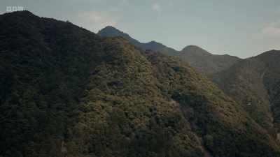 The Zen preference for uncertainty
and suggestiveness - The Art of Japanese Life