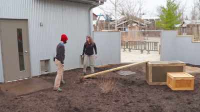 The zoo decided to make a
commitment by building
them their own habitat. - Secrets of the Zoo